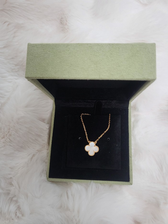 32f605a987e02833c179b911e1f6e797_1772796863_2196.jpg 32f605a987e02833c179b911e1f6e797_1772796863_2196.jpg