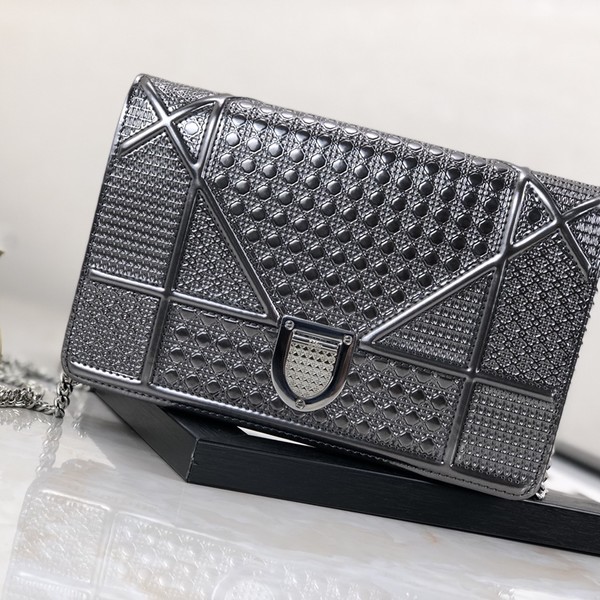 디올 라마 WOC 체인 숄더백