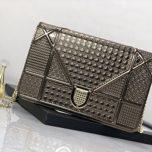 디올 라마 WOC 체인 숄더백