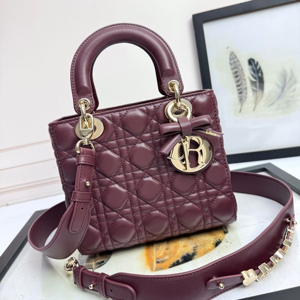 디올 레이디 카나쥬 백 20