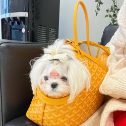 고야드 삭 시앙 그리 백 옐로우