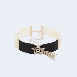 디올 Night Herbarium 초커