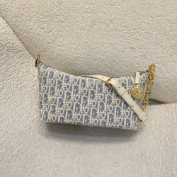 디올 스타 체인 호보 백