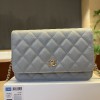 샤넬 25c 크루즈 WOC AP4241